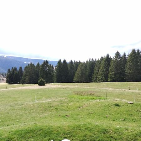 La Ferme Du Levant Gérardmer Zewnętrze zdjęcie