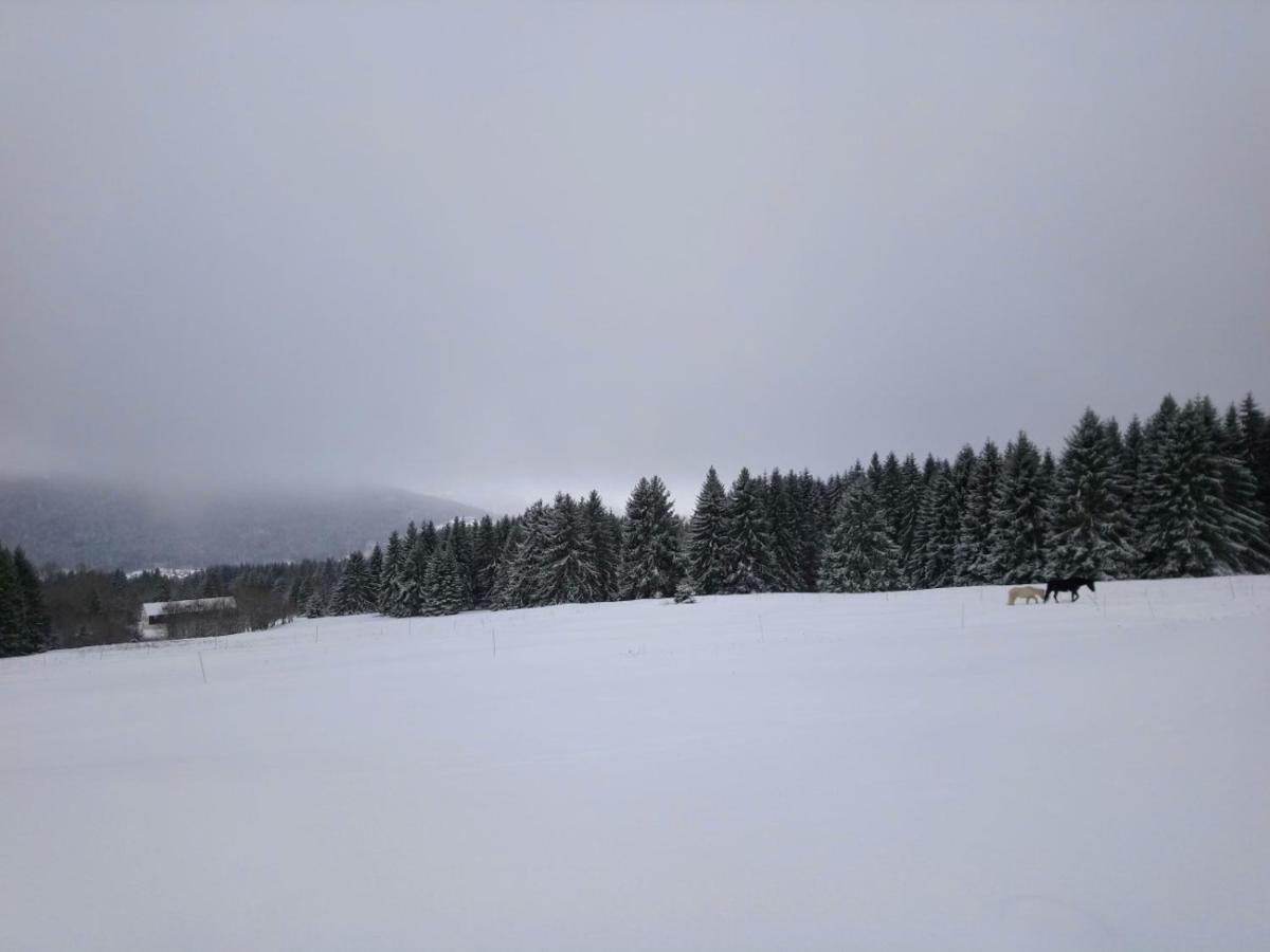 La Ferme Du Levant Gérardmer Zewnętrze zdjęcie