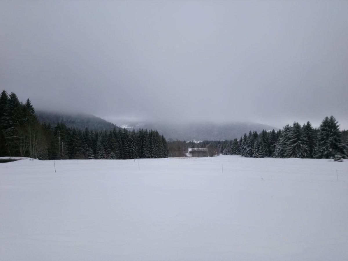 La Ferme Du Levant Gérardmer Zewnętrze zdjęcie