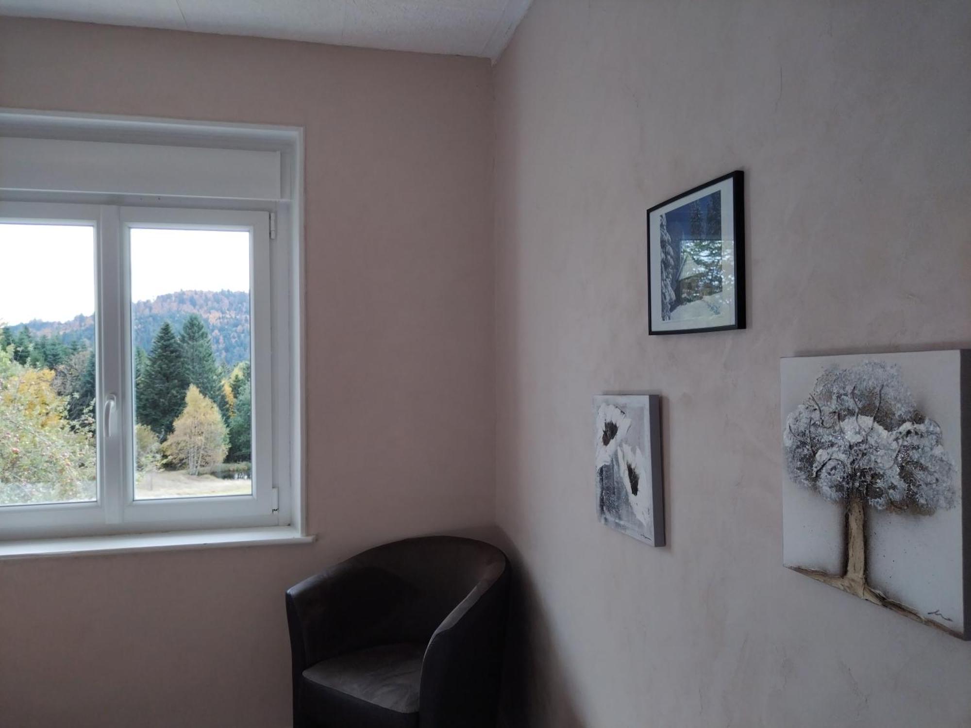 La Ferme Du Levant Gérardmer Zewnętrze zdjęcie