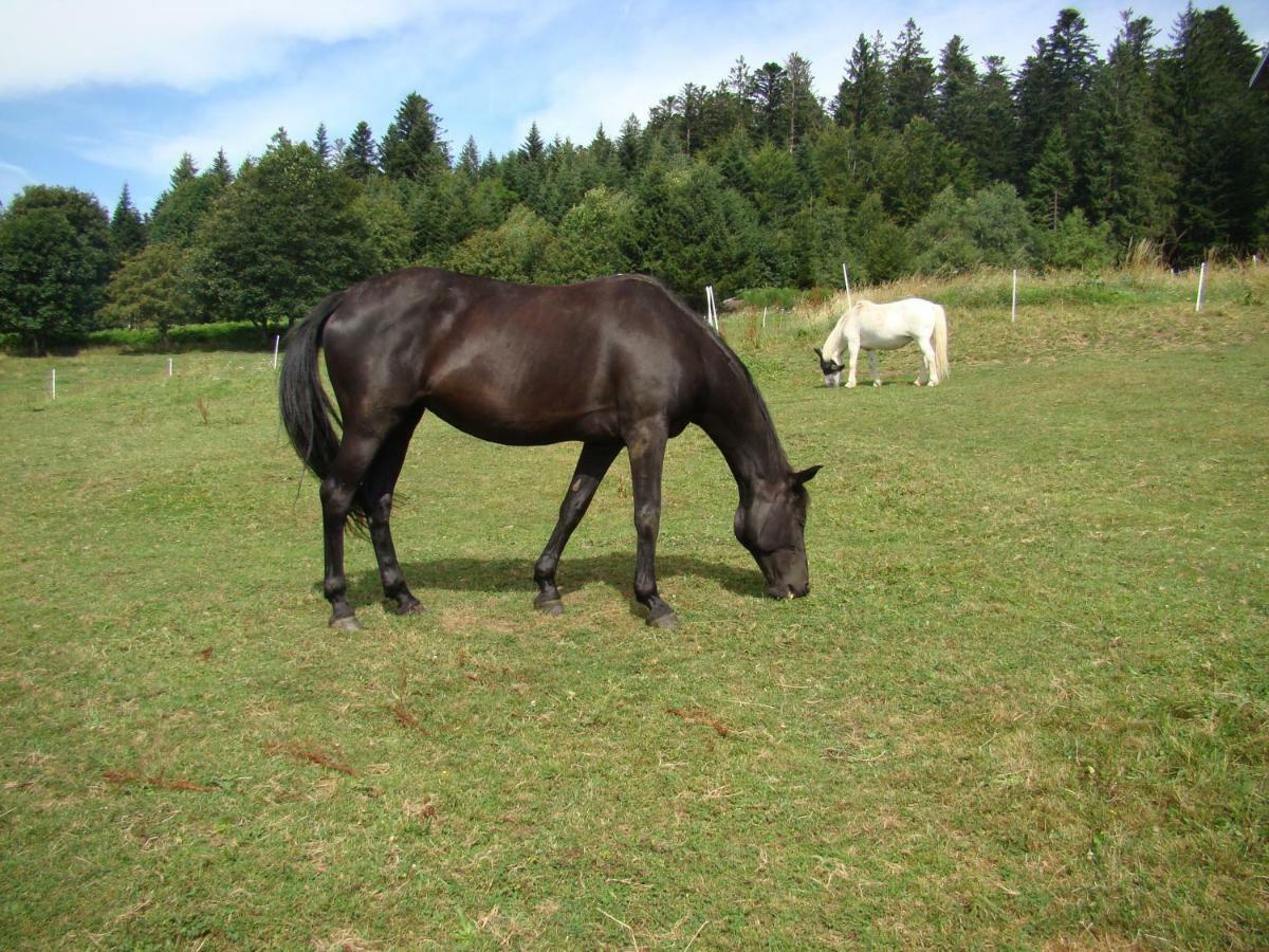 La Ferme Du Levant Gérardmer Zewnętrze zdjęcie